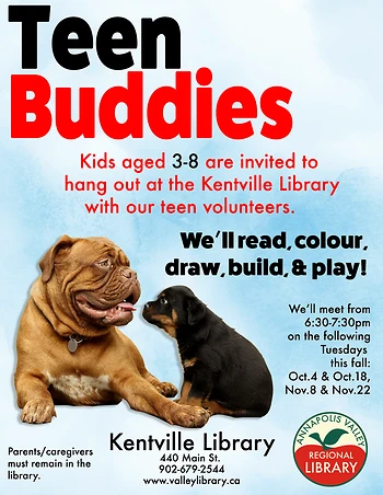 Poster for Teen Buddies