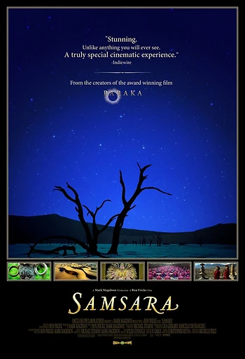 Poster for Movie Night