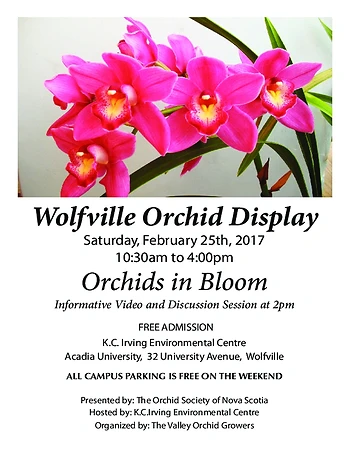 Poster for Orchid Show