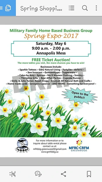 Poster for Spring Expo