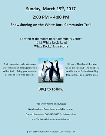 Poster for Snowshoeing