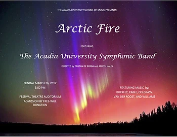 Poster for Arctic Fire