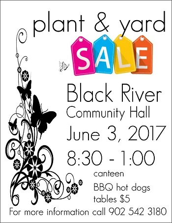 Poster for Yard Sale