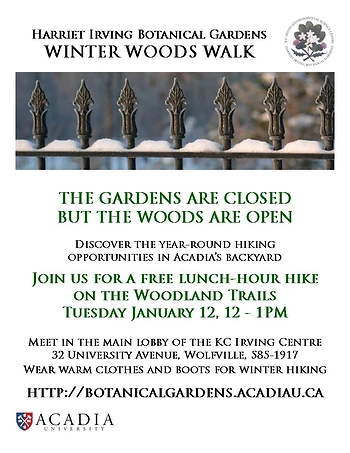 Poster for Winter Woods Walk