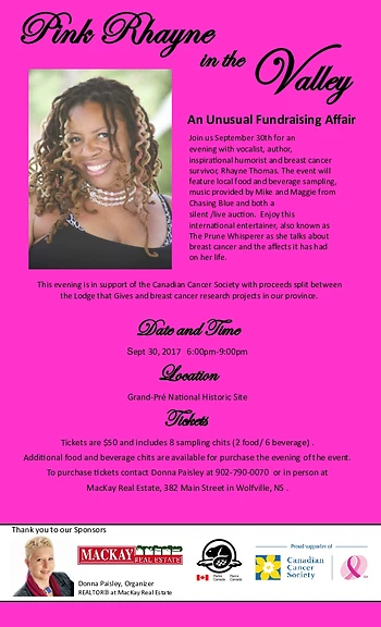 Poster for Pink Rhayne in the Valley An Unusual Fundraising Affair