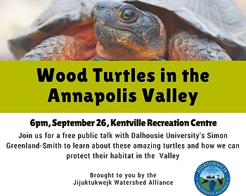 Poster for Wood Turtles!