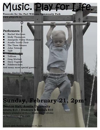 Poster for Music. Play for Life