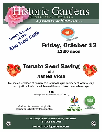 Poster for Lunch & Learn: Tomato Seed Saving
