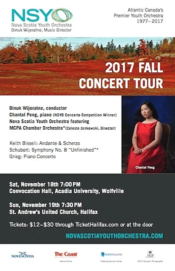Poster for Youth Orchestra's Tour