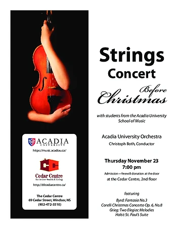 Poster for Strings Concert Before Christmas