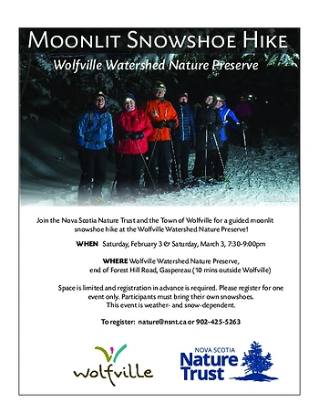 Poster for Moonlit Snowshoe Hike