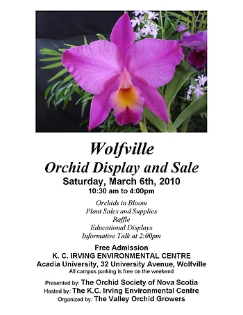 Poster for Orchid Show and Sale