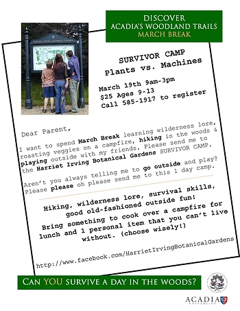 Poster for Survivor Camp: Plants vs. Machines