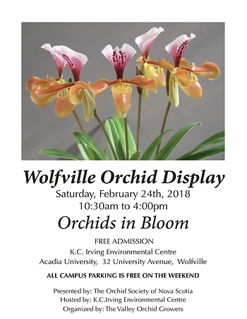 Poster for Orchid Display