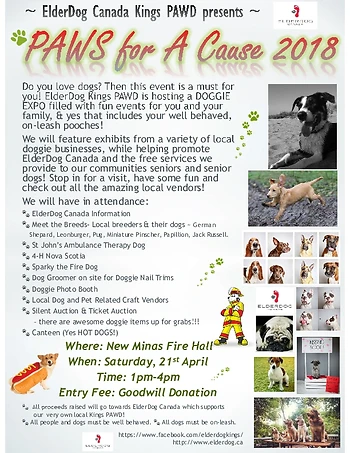 Poster for ElderDog Paws for a Cause
