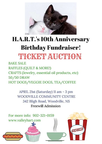 Poster for Ticket Auction Birthday Bash