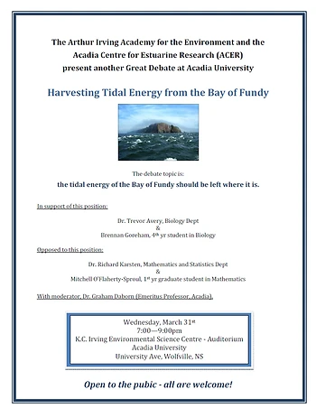 Poster for Tidal Power Debate
