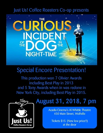 Poster for The Curious Incident of the Dog in the Night-Time