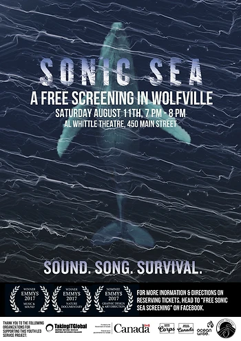 Poster for Sonic Sea Screening