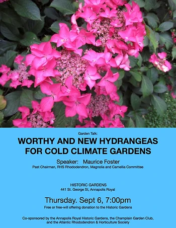 Poster for Garden Talk: Hydrangeas