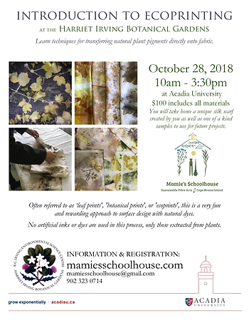 Poster for Botanical Ecoprinting on Silk