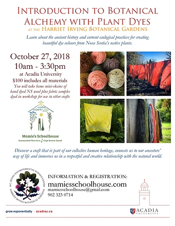 Poster for Botanical Alchemy with Plant Dyes
