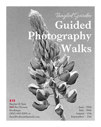 Poster for Guided Photography Walks, Beginners Class