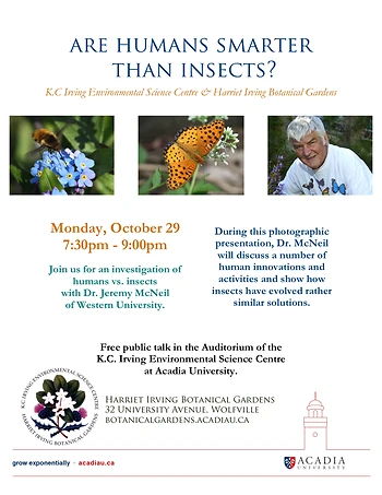 Poster for Are Humans Smarter Than Insects?