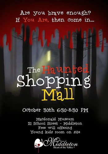 Poster for Haunted Shopping Mall