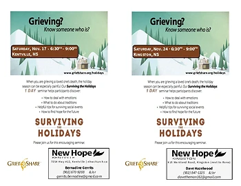 Poster for Surviving the Holidays