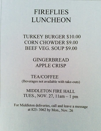 Poster for Fireflies Luncheon
