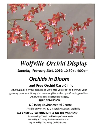 Poster for Orchid Display