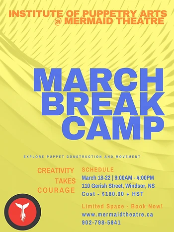 Poster for March Break Camp