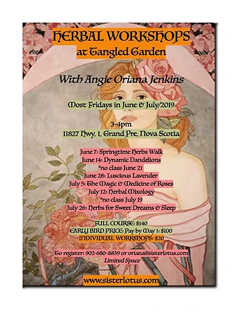 Poster for Herbs for Sweet Dreams & Sleep