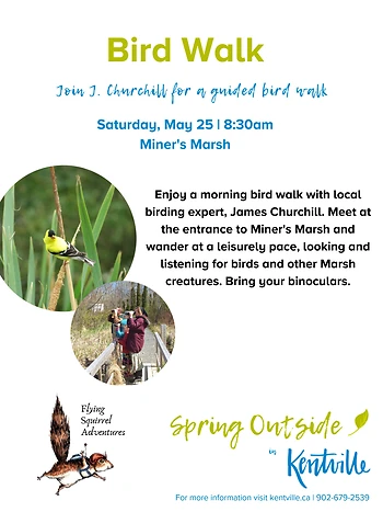 Poster for Bird Walk