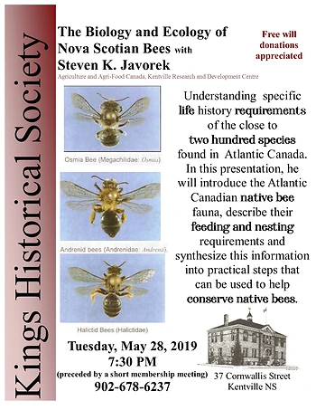 Poster for Conserve Native Bees!