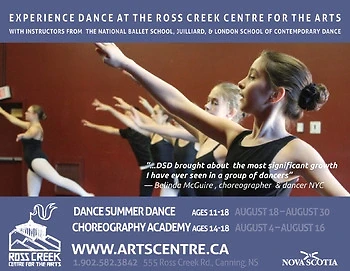 Poster for Dance Summer Dance