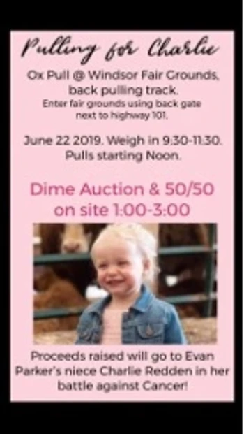 Poster for Ox Pull Fundraiser