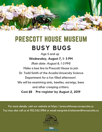 Poster for Busy Bugs