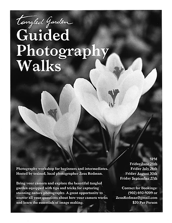 Poster for Guided Photography Walk