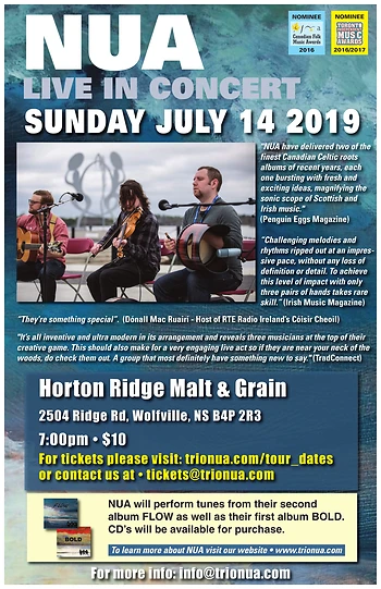 Poster for Celtic Trad Trio NUA