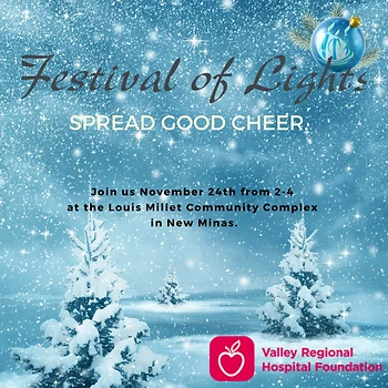 Poster for Festival of Lights