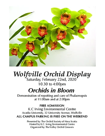 Poster for Orchid Show