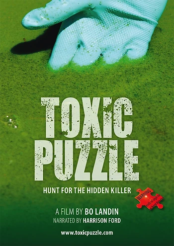 Poster for Toxic Puzzle