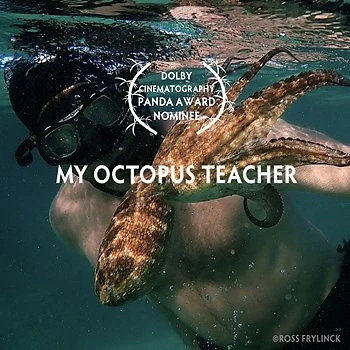 Poster for My Octopus Teacher w/ Lucien's Happiness