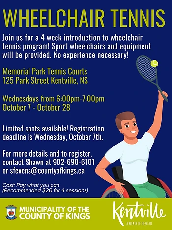 Poster for Wheelchair Tennis