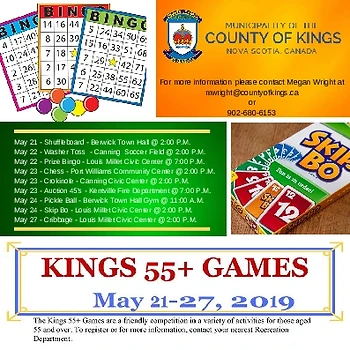 Poster for Senior's Social and Bingo