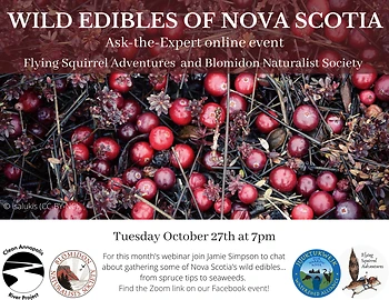Poster for Wild Edibles of Nova Scotia Webinar
