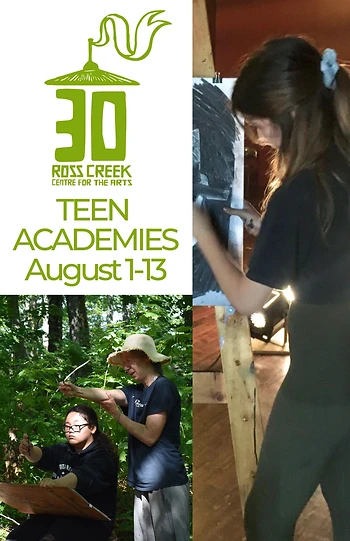 Poster for Teen Academies