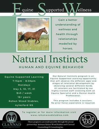Poster for Equine Supported Wellness Program